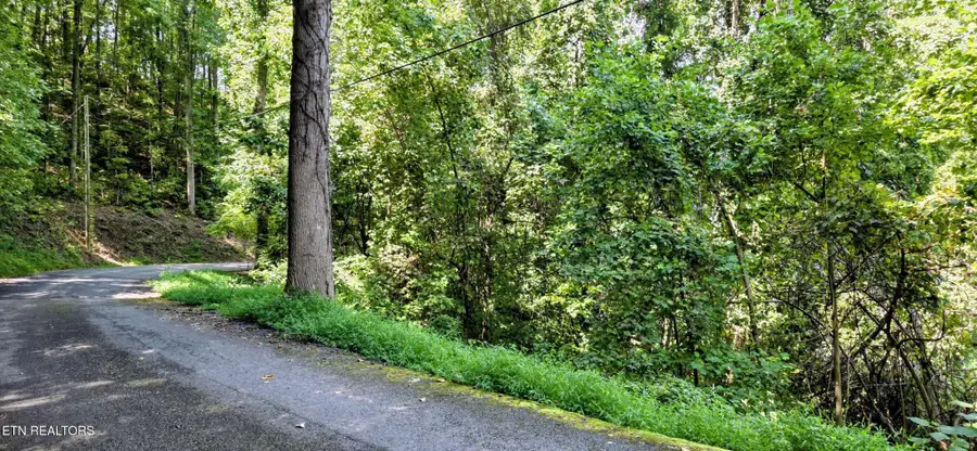28 Sugar Maple Loop Rd, Sevierville, TN 37862 - #2