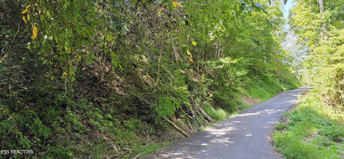 5 Sugar Maple Loop Rd, Sevierville, TN 37862 - #1