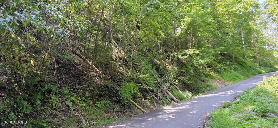 5 Sugar Maple Loop Rd, Sevierville, TN 37862 - #2
