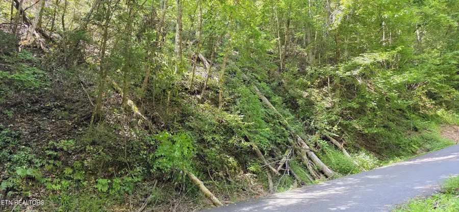 5 Sugar Maple Loop Rd, Sevierville, TN 37862 - #3