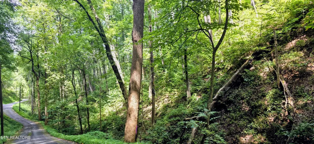 15 Emerald Springs Loop, Sevierville, TN 37862 - #1