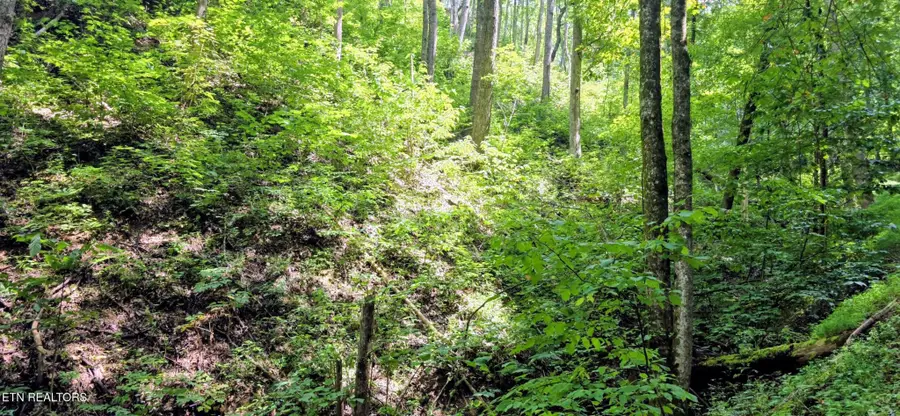 15 Emerald Springs Loop, Sevierville, TN 37862 - #2