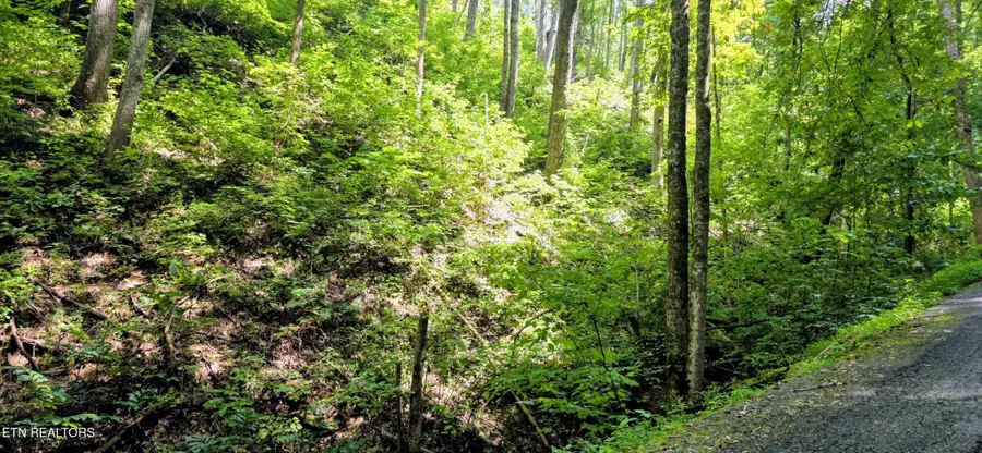 15 Emerald Springs Loop, Sevierville, TN 37862 - #3