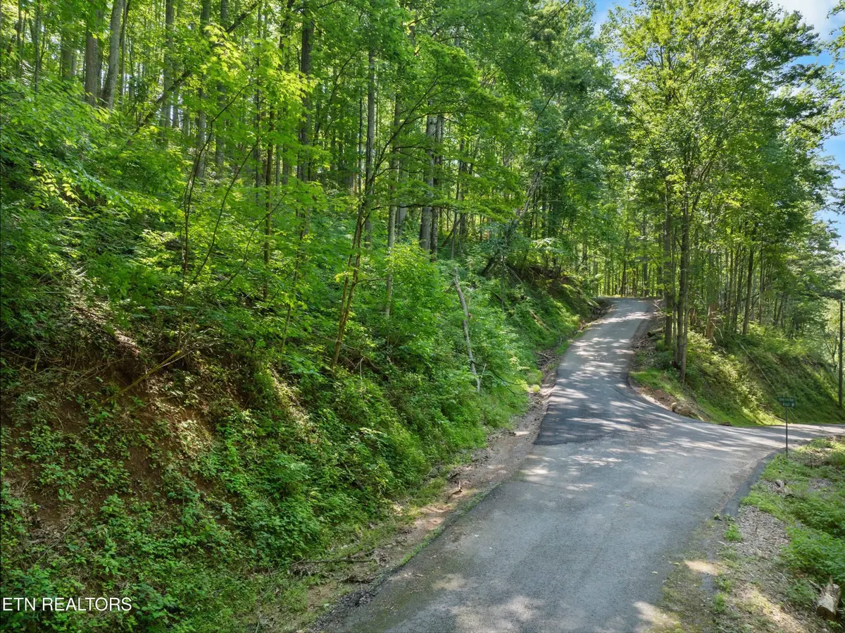 0 Emerald Springs Loop, Sevierville, TN 37862 - #1