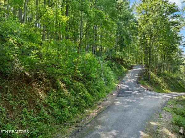 0 Emerald Springs Loop, Sevierville, TN 37862