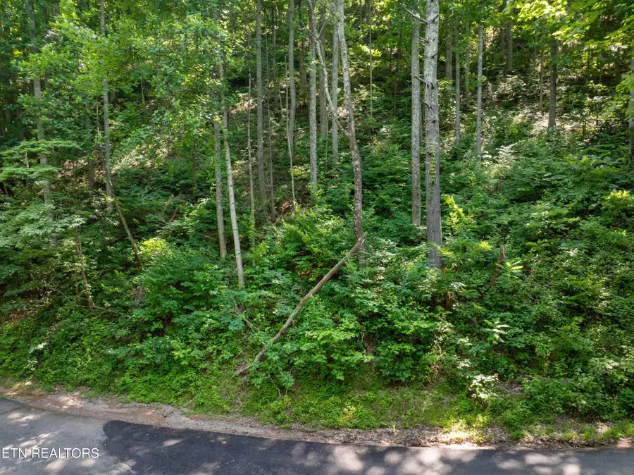 0 Emerald Springs Loop, Sevierville, TN 37862 - #2