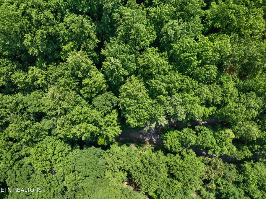 0 Emerald Springs Loop, Sevierville, TN 37862 - #3