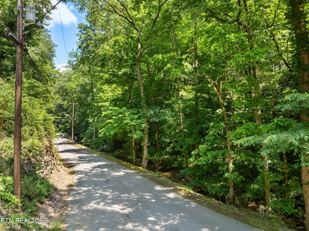 0 N Clear Fork Rd, Sevierville, TN 37862 - #1