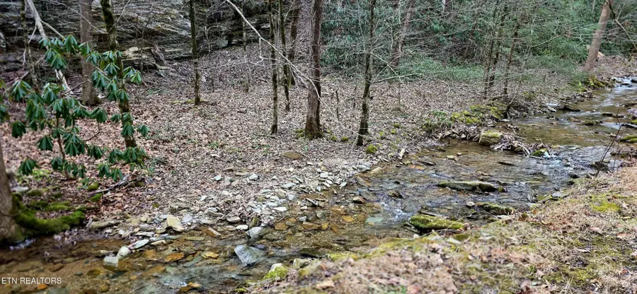 0 N Clear Fork Rd, Sevierville, TN 37862 - #2