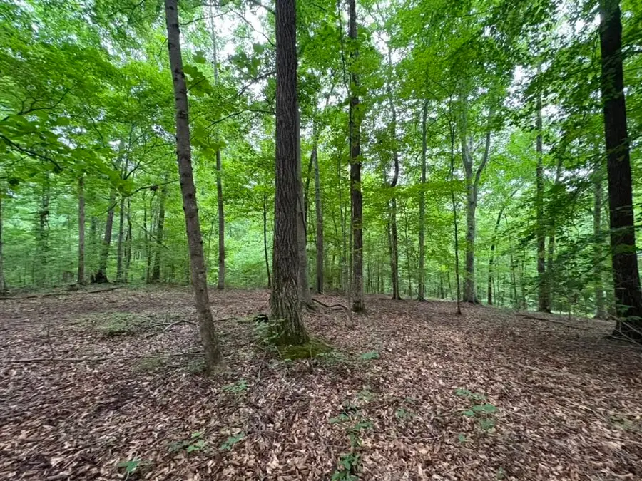 0 Knox Ln, Clarksville, TN 37040 - #2