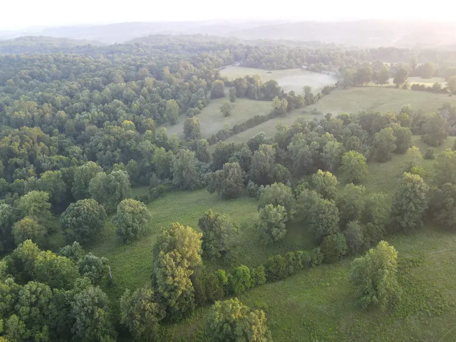 6 Shiloh Canaan Road, Palmyra, TN 37142 - #2
