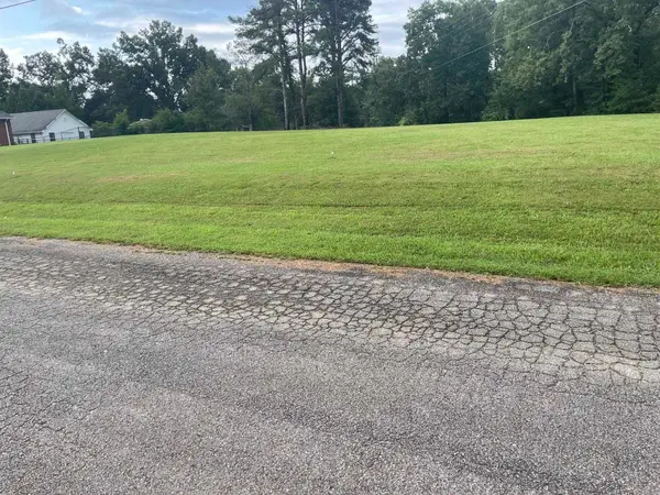 0 Caney Branch Rd, Adamsville, TN 38310