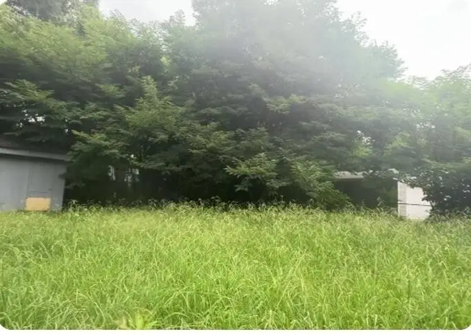1300 Pera Drive, Memphis, TN 38127 - #2