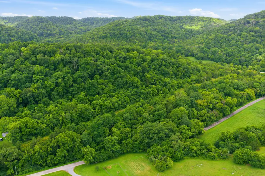 5023 Burt Burgen Rd, Bradyville, TN 37026 - #3