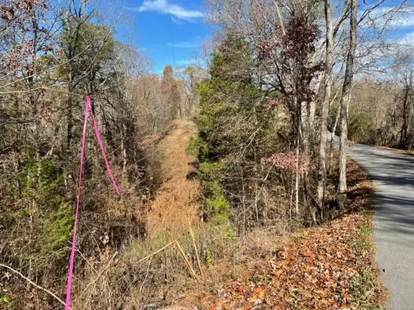 71 Happy Hollow Lane Lane, Sevierville, TN 37876