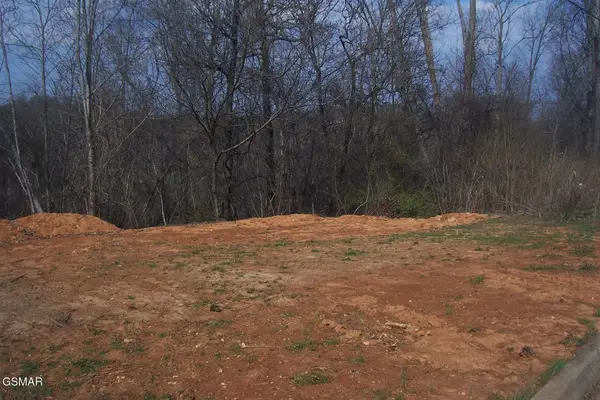 141 Low Valley Rd Road, Dandridge, TN 37725