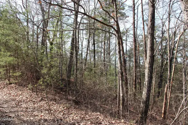 19 Ridge View Drive, Sevierville, TN 37876
