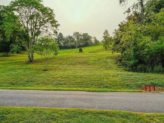 2523 Baptist Church Rd, Culleoka, TN 38451 - #3