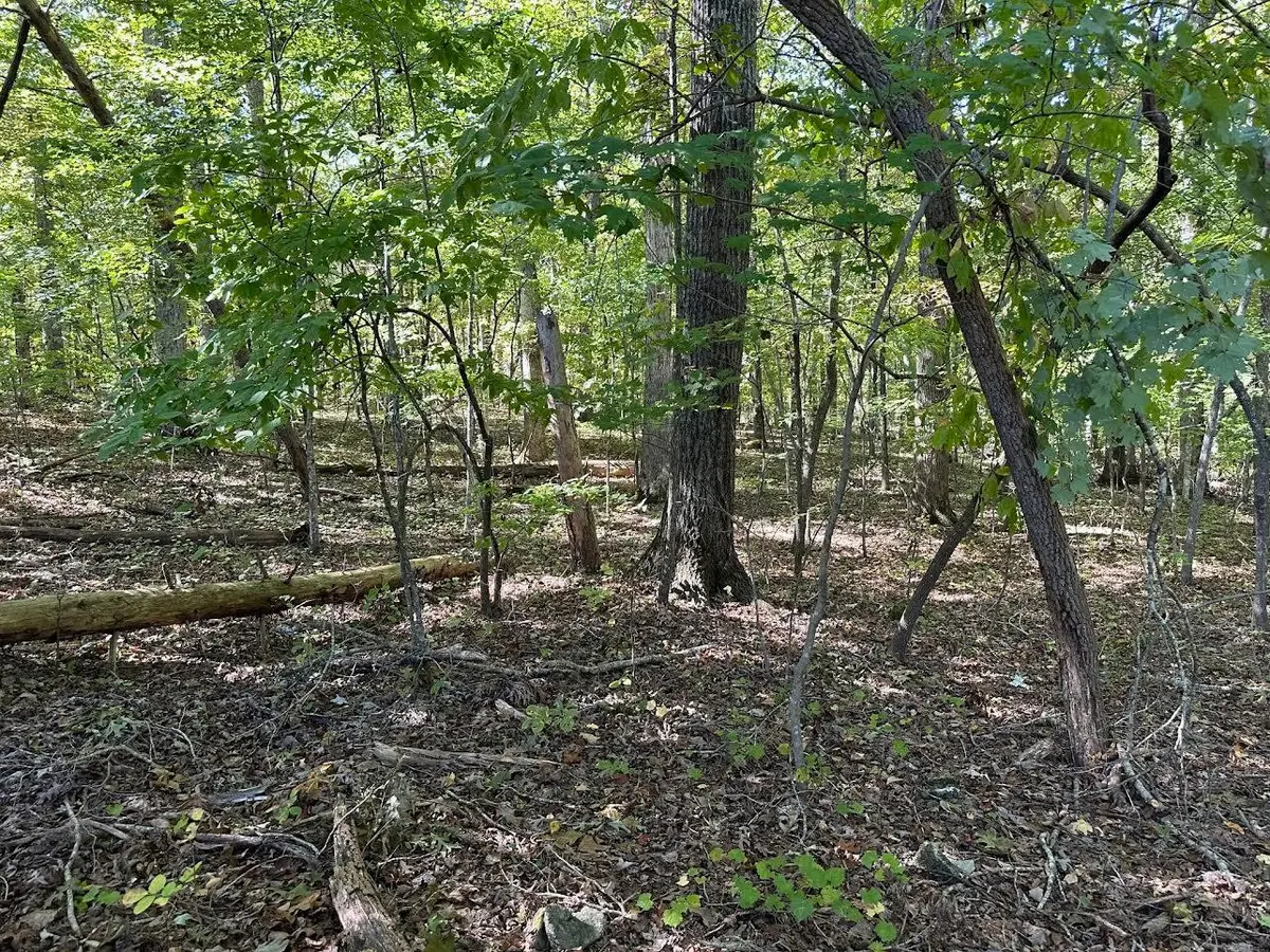 411 Smith Road, Spring City, TN 37381 - #1
