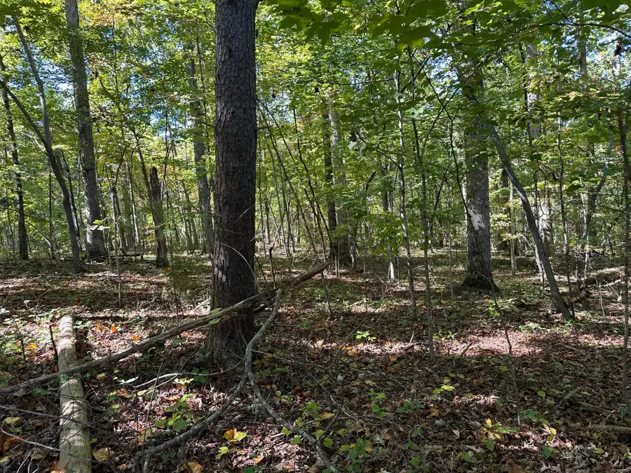 411 Smith Road, Spring City, TN 37381 - #3