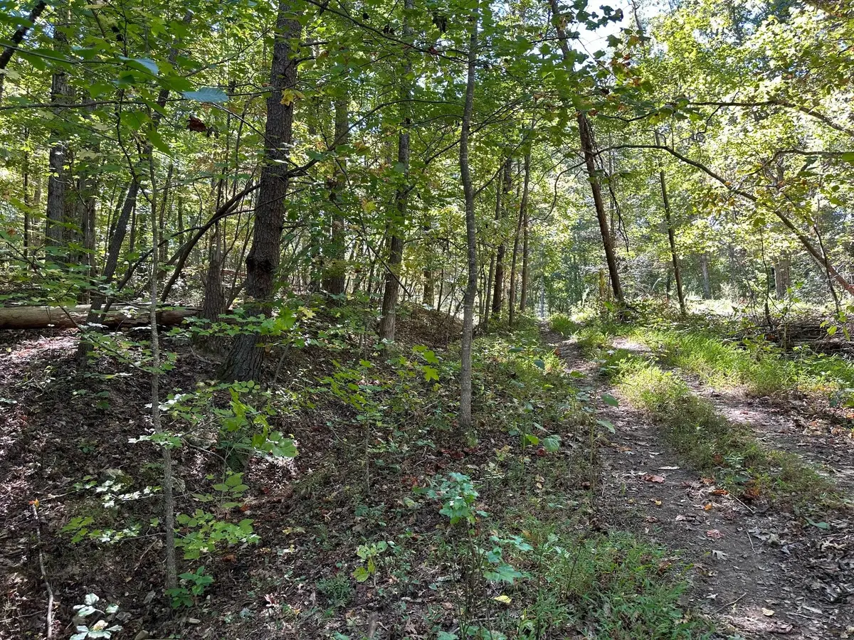 412 Smith Road, Spring City, TN 37381 - #1