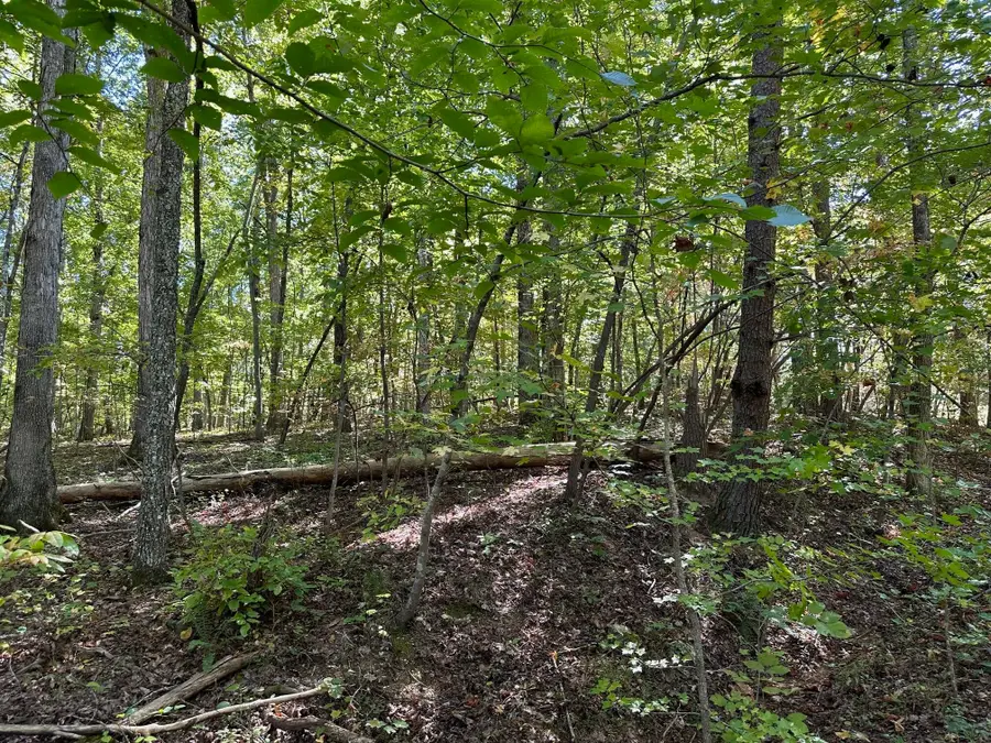412 Smith Road, Spring City, TN 37381 - #3