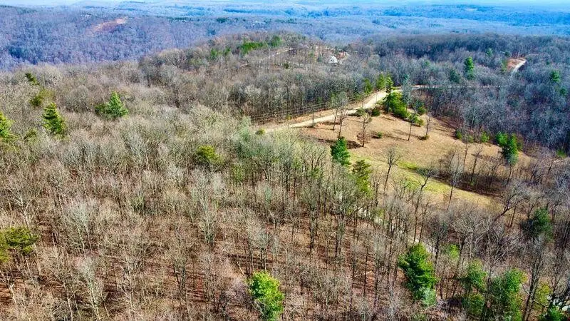654 Briley Road, Spring City, TN 37381 - #1