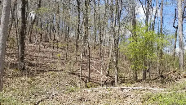286 Maple Drive, Spring City, TN 37381