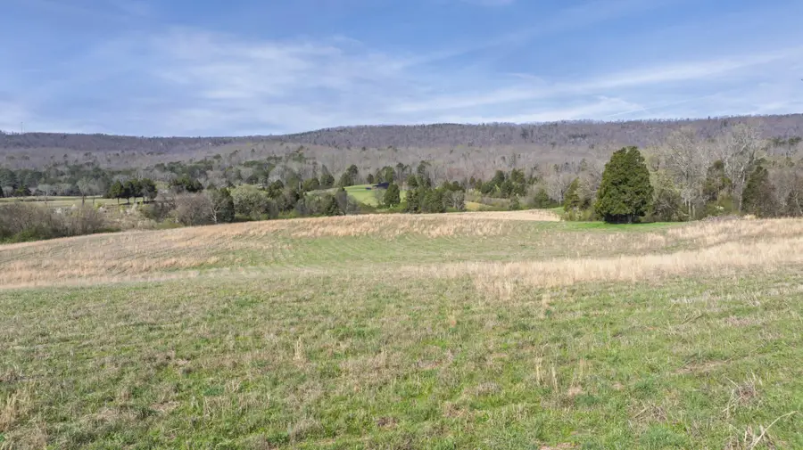 4637 Ideal Valley Road, Spring City, TN 37381 - #3