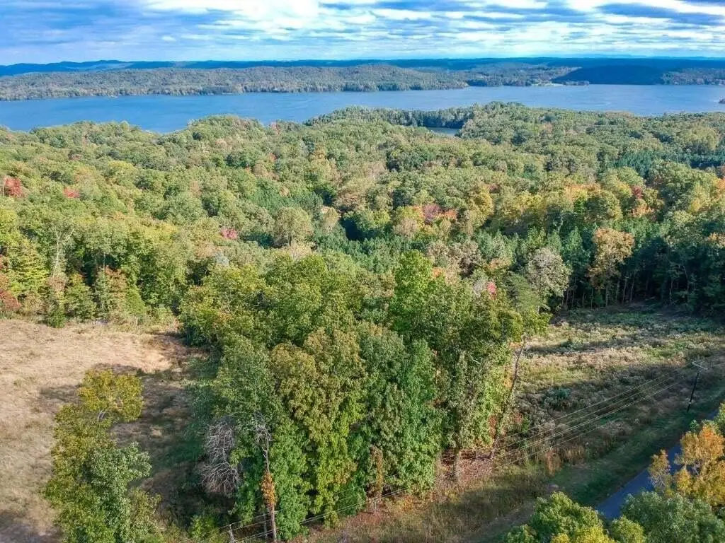 272 Spruce Drive, Spring City, TN 37381 - #1