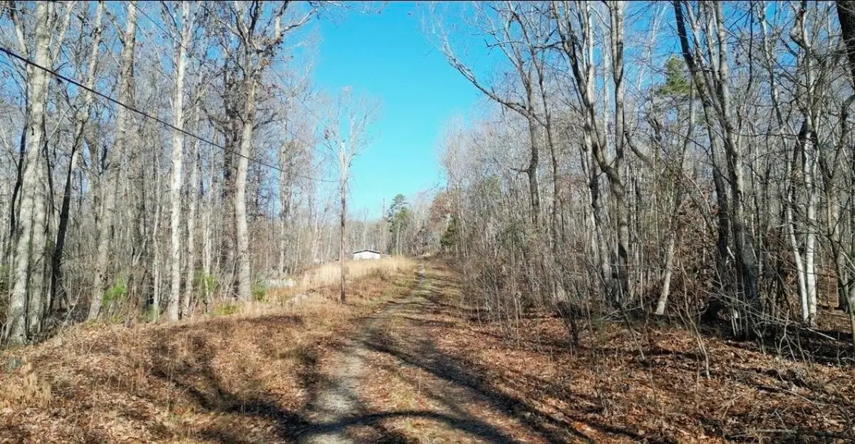 69 W Log Road W, Spring City, TN 37381 - #1
