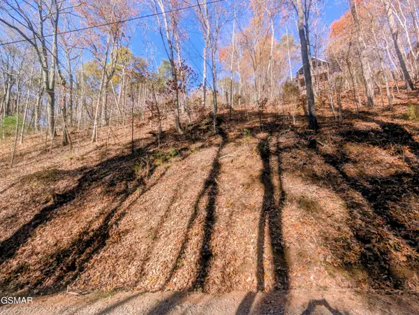 177 Tsali Drive, Sevierville, TN 37876