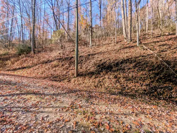 1272 Raymond Hollow Road, Sevierville, TN 37876