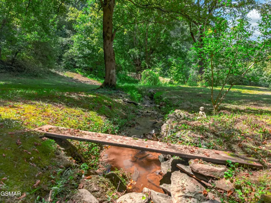 264 Beech Branch Rd, Gatlinburg, TN 37738 - #3