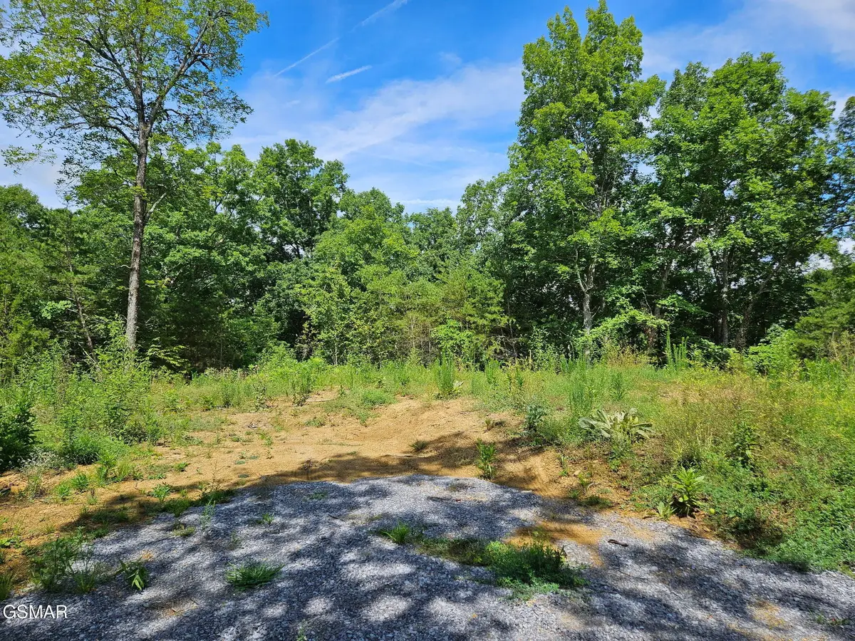 67910 Pleasure Road, Sevierville, TN 37876 - #1