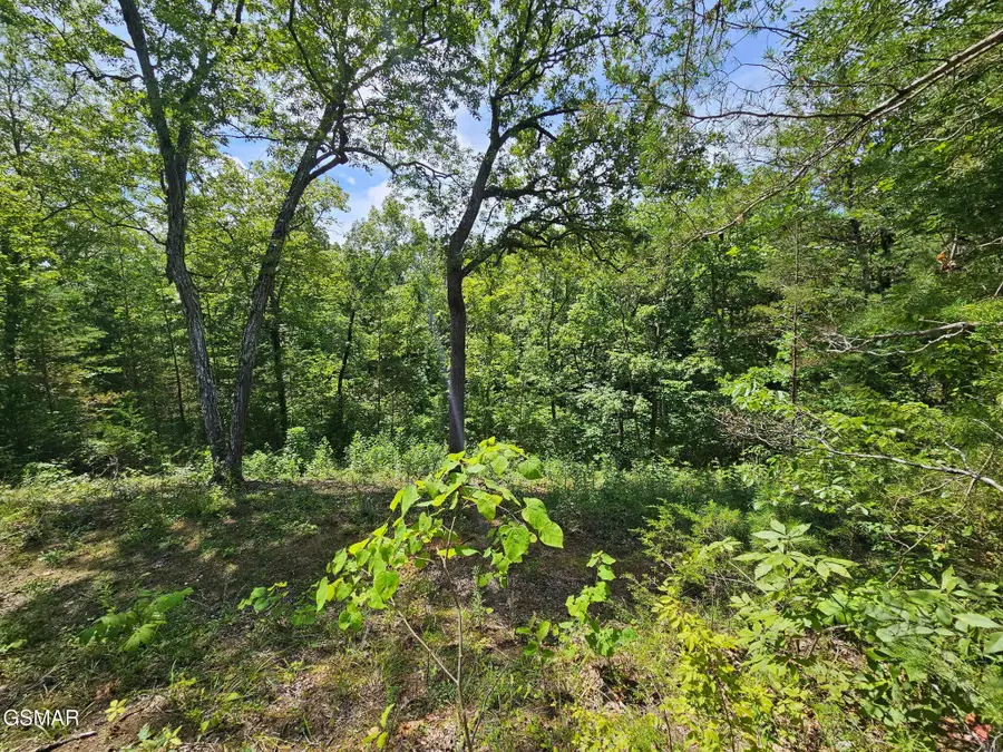 67910 Pleasure Road, Sevierville, TN 37876 - #2
