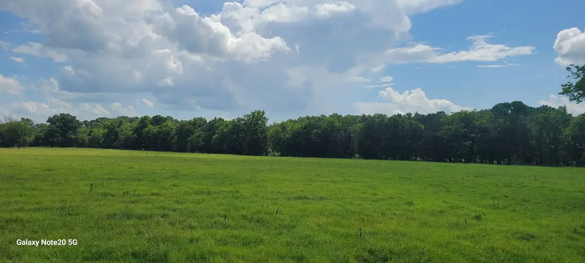 10 Beasley Rd, Chapel Hill, TN 37034 - #1