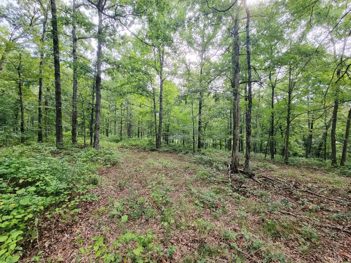 0 Ridgewood Dr, McEwen, TN 37101 - #1