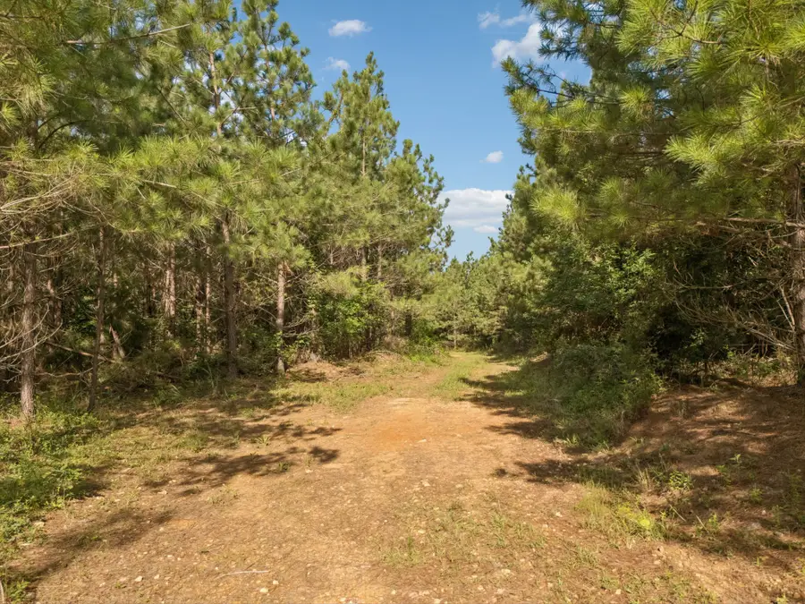 0 Old Richmond Rd, Nunnelly, TN 37137 - #3