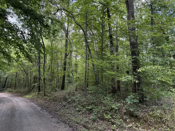 0 Hurricane Creek Road, Stewart, TN 37175