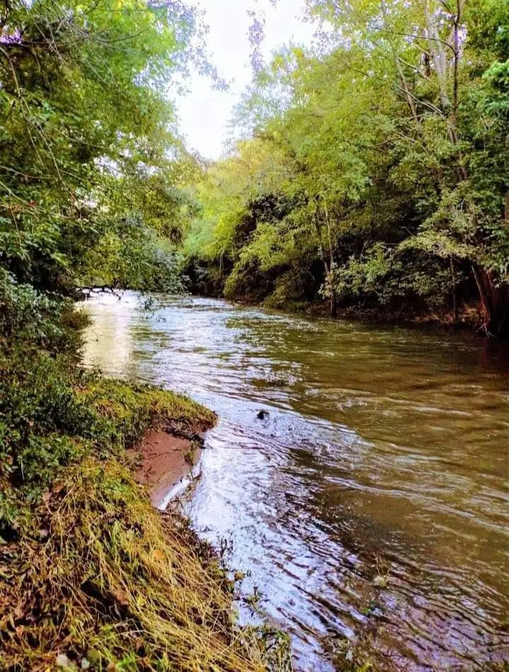 1830 Mcbride Rd, Lewisburg, TN 37091 - #2