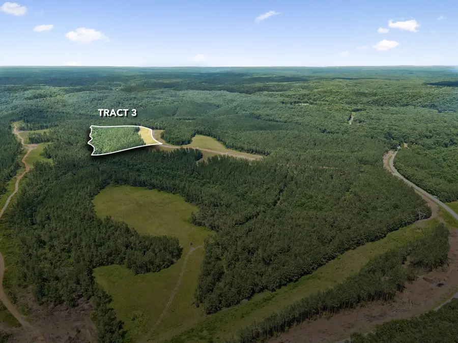 1420 Big Swan Creek Rd Tract 3, Summertown, TN 38483 - #2