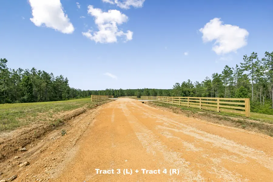 1420 Big Swan Creek Rd Tract 4, Summertown, TN 38483 - #2