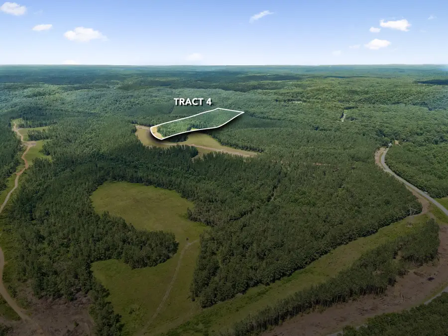 1420 Big Swan Creek Rd Tract 4, Summertown, TN 38483 - #3