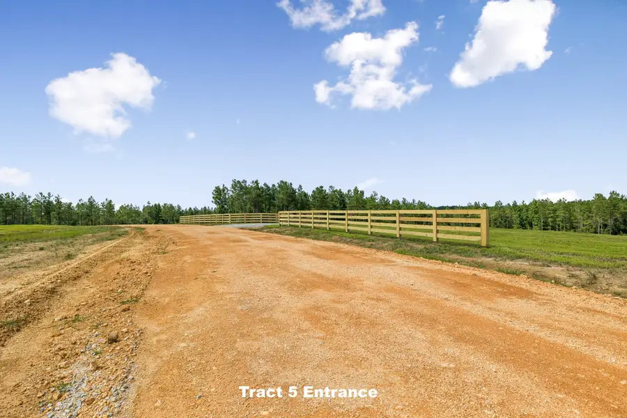1420 Big Swan Creek Rd Tract 5, Summertown, TN 38483 - #3