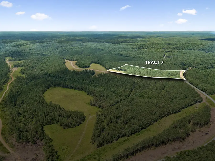 1420 Big Swan Creek Rd Tract 7, Summertown, TN 38483 - #2