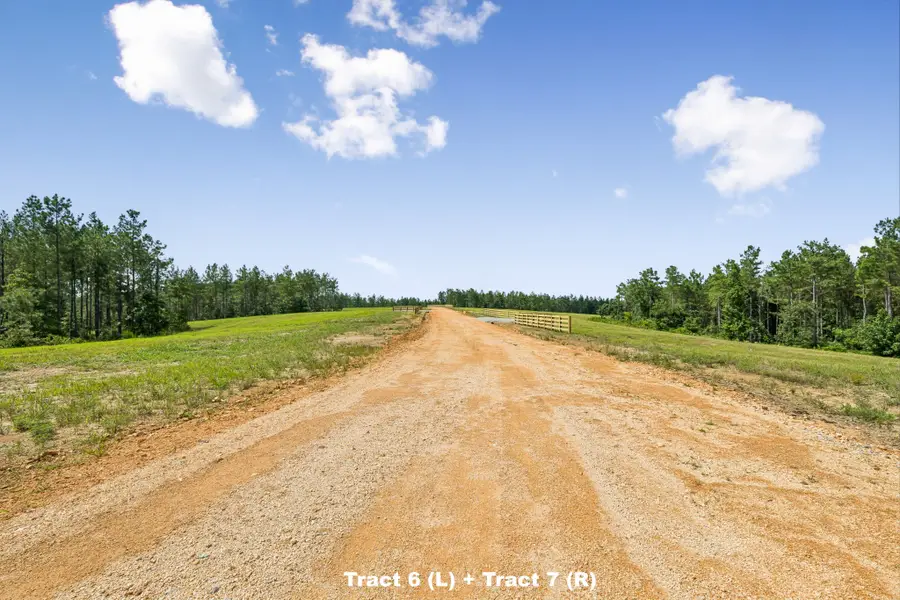1420 Big Swan Creek Rd Tract 6, Summertown, TN 38483 - #3