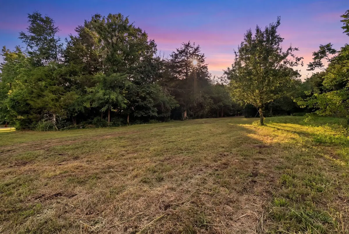 0 Carters Creek Pike, Franklin, TN 37064 - #1