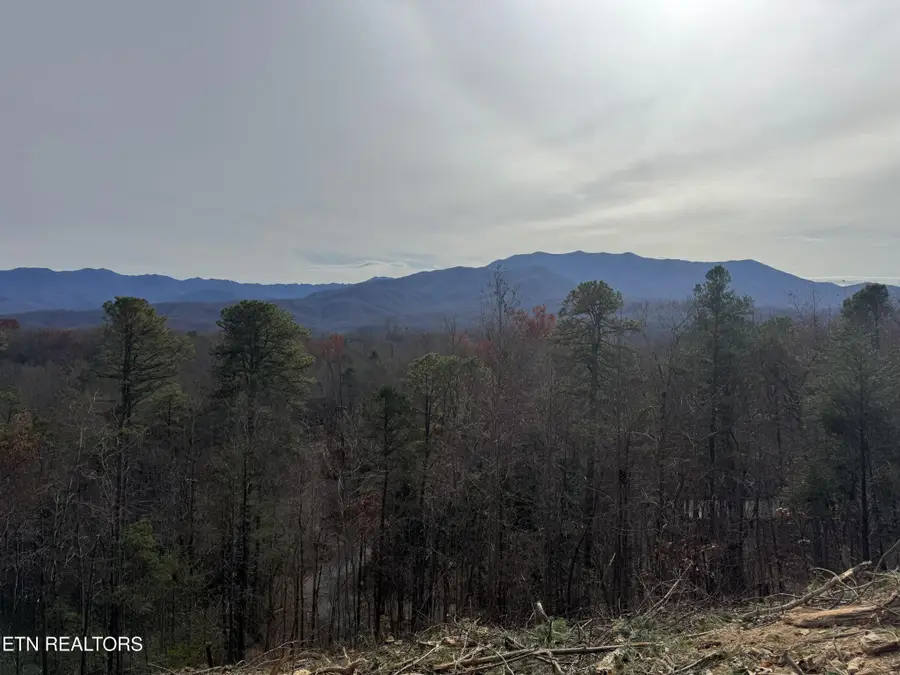 4 Powdermill Rd, Gatlinburg, TN 37738 - #2