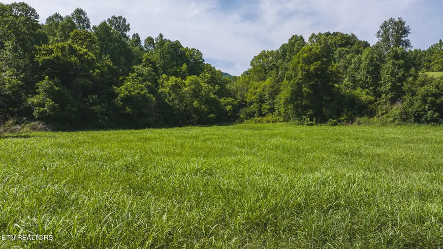 0 Porter Johns Rd, Tazewell, TN 37879 - #2